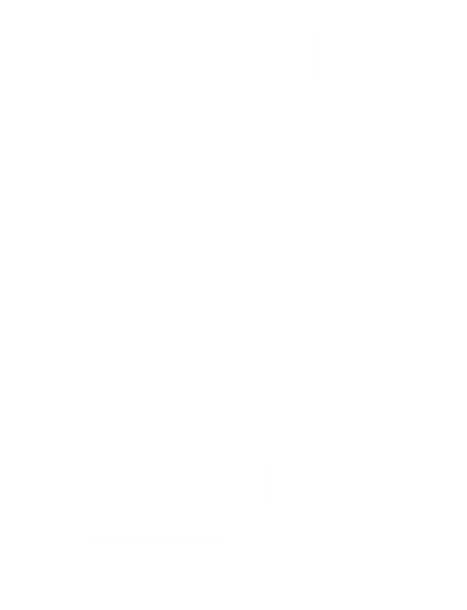 platform mobile
